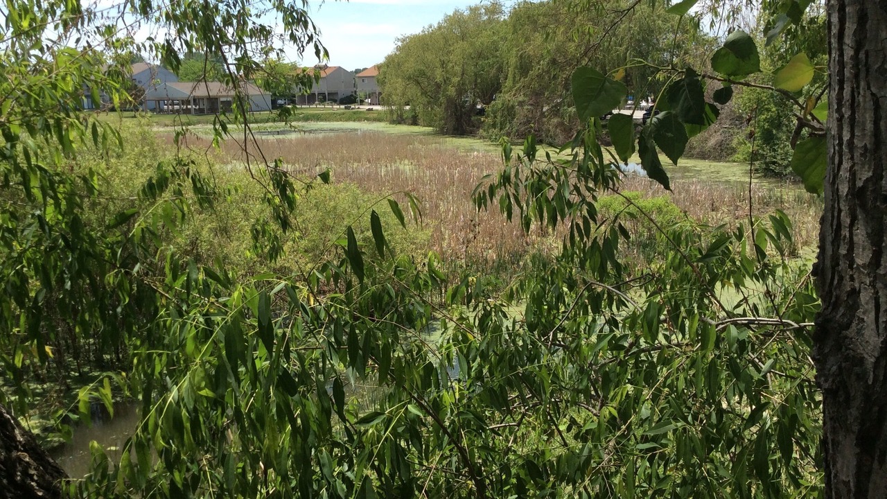 Photo of Outdoor in Oak Harbor