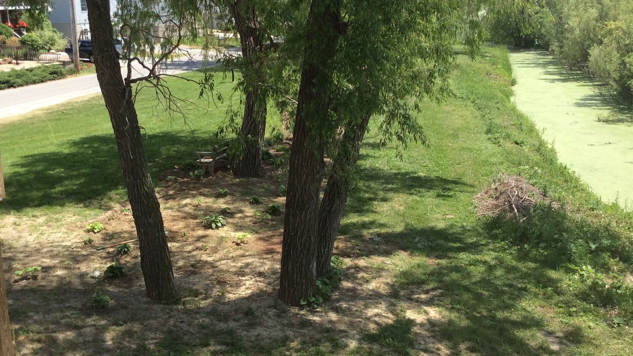 Photo of Outdoor in Oak Harbor