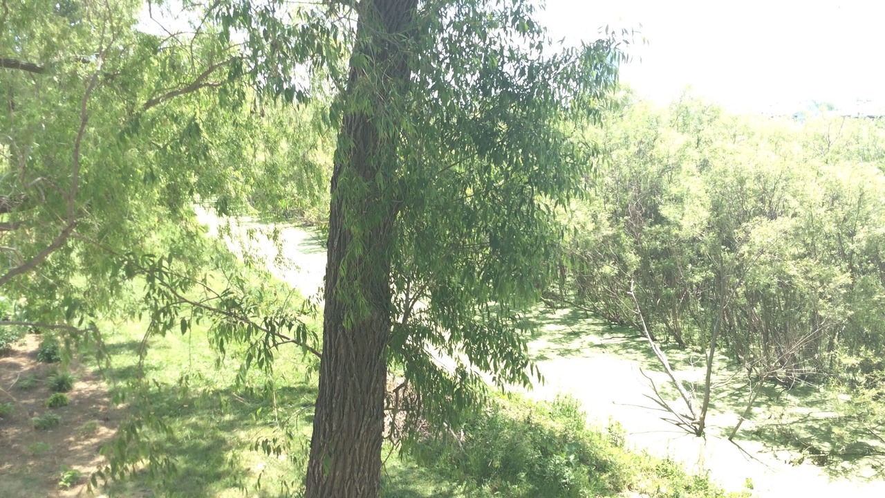 Photo of Outdoor in Oak Harbor