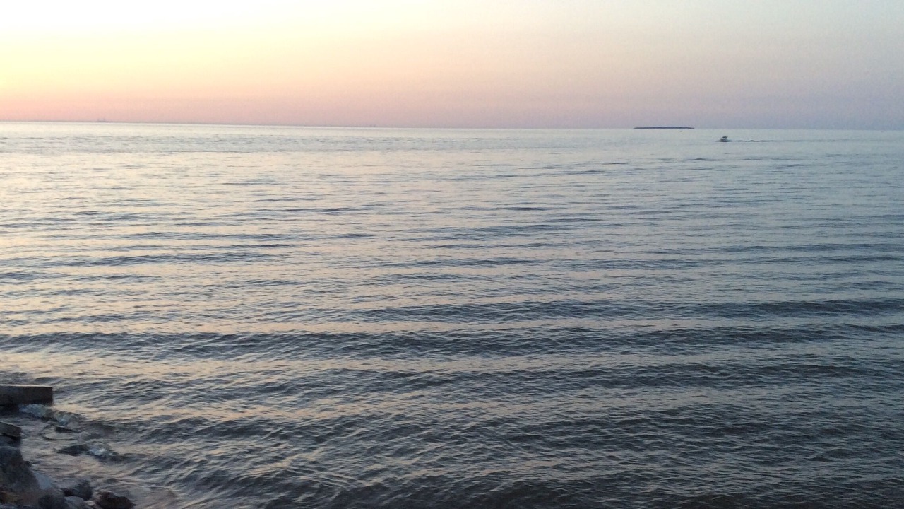 Photo of Others in Oak Harbor
