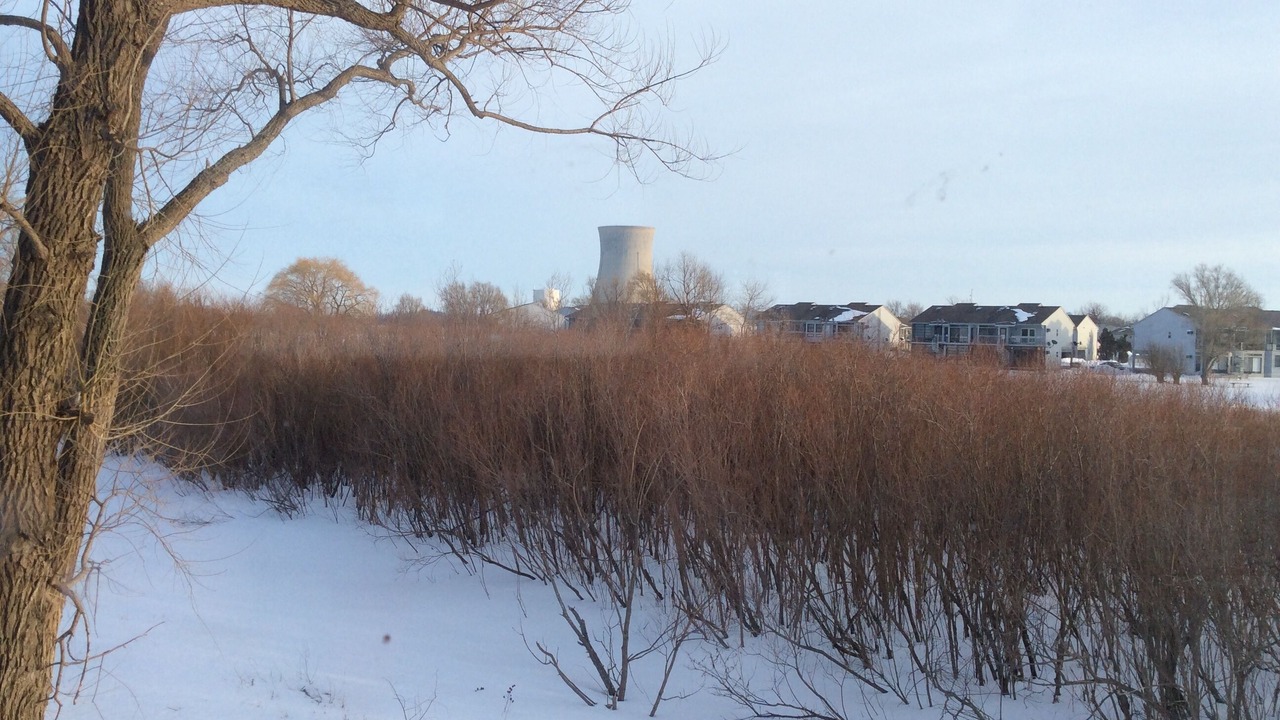 Photo of Outdoor in Oak Harbor