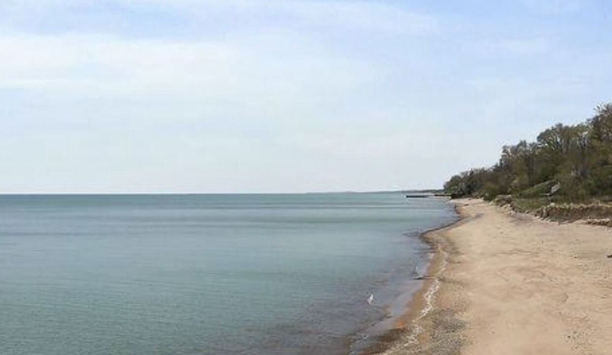 Photo of Others in Michiana