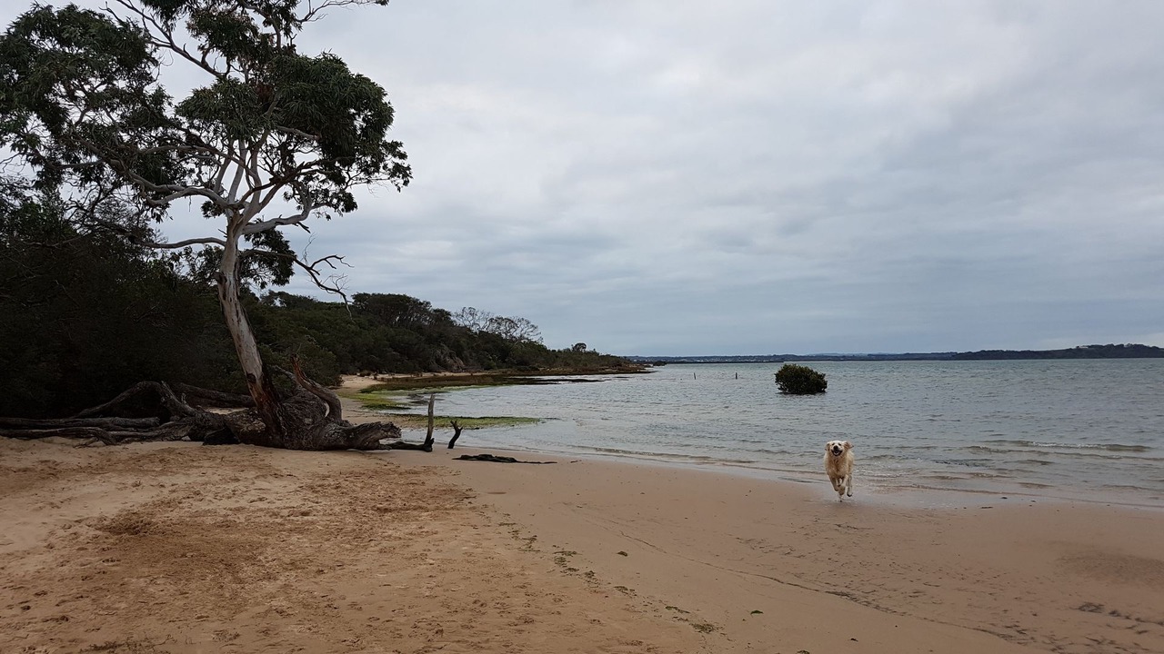 Photo of Others in Venus Bay