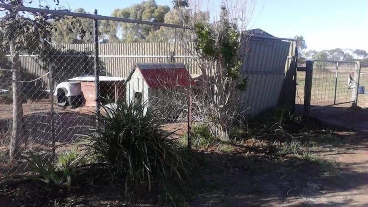 Photo of Outdoor in Cabarita