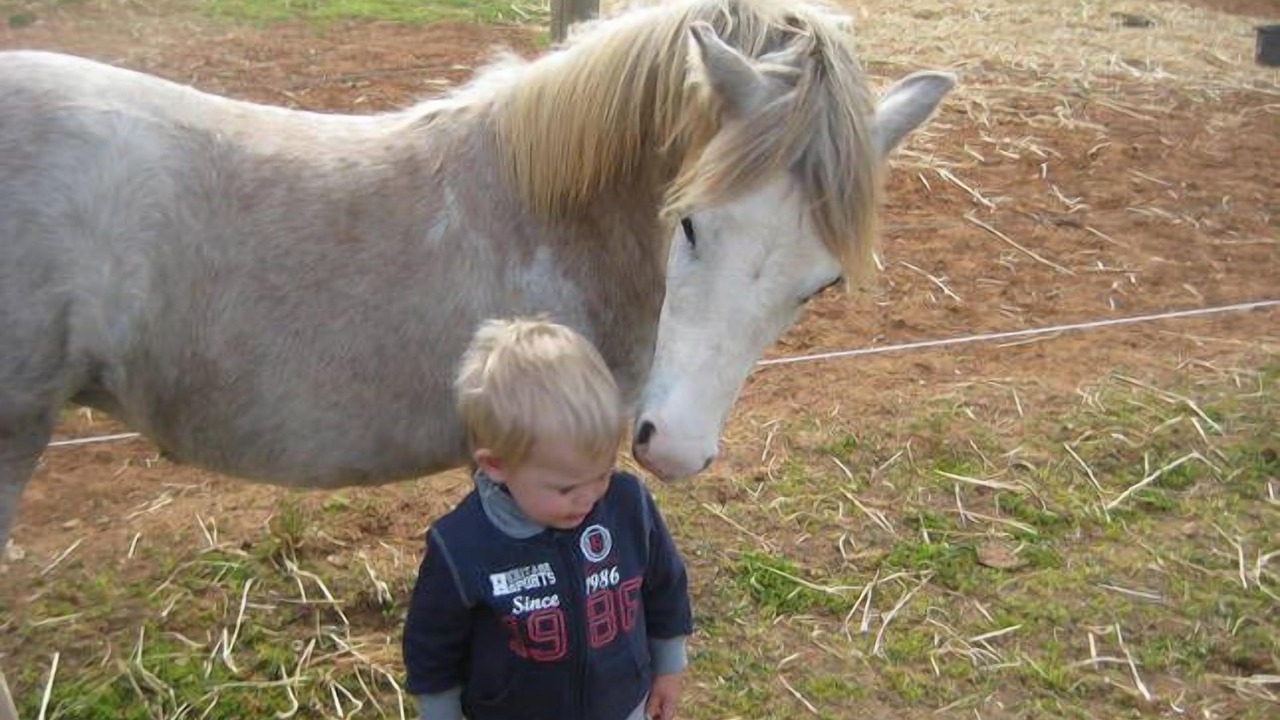 Photo of Others in Cabarita