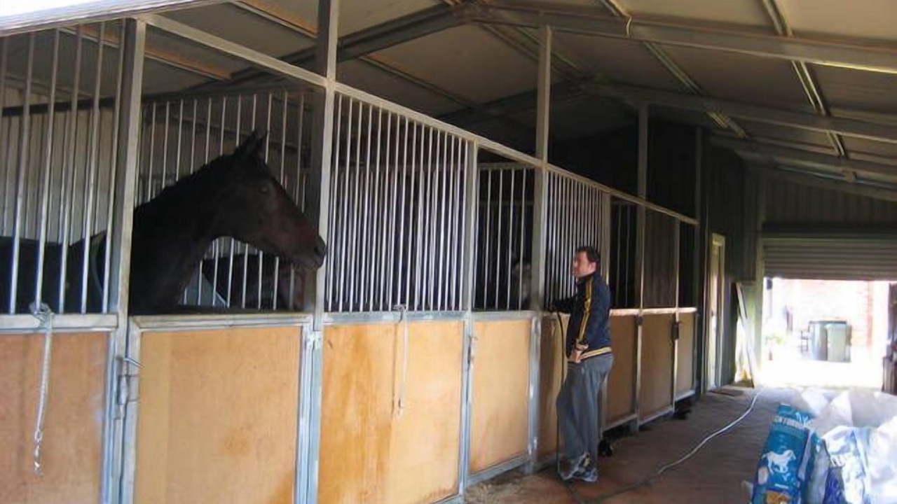 Photo of Others in Cabarita
