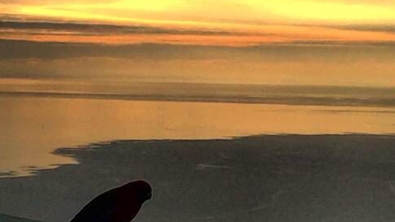 Photo of Others in Arthurs Seat