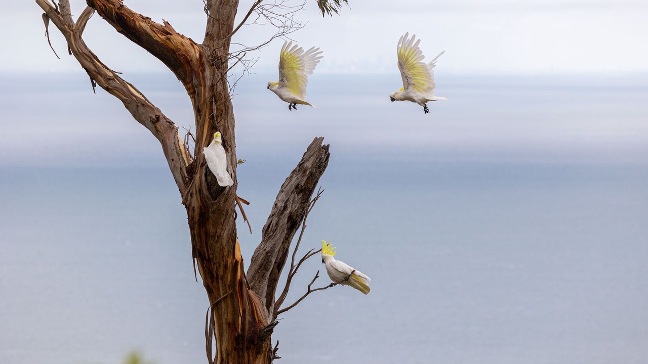 Photo of Others in Arthurs Seat