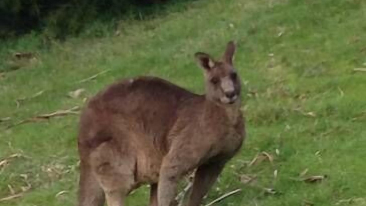 Photo of Outdoor in Arthurs Seat
