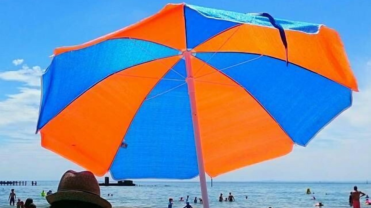 Photo of Others in Black Rock