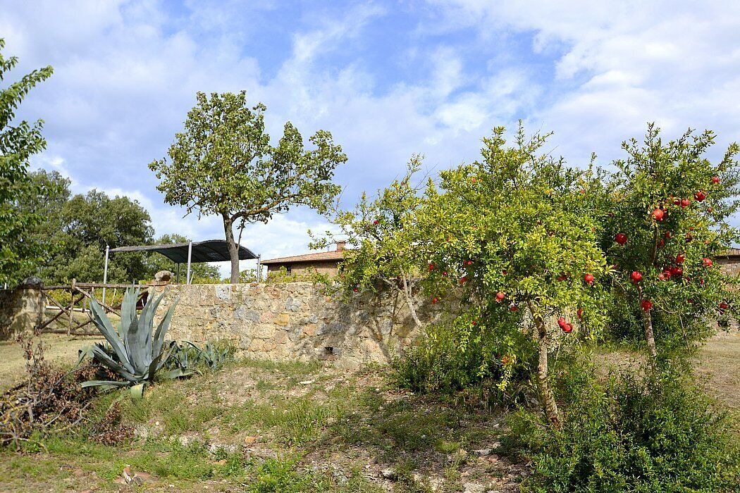 Photo of Outdoor in Monteriggioni