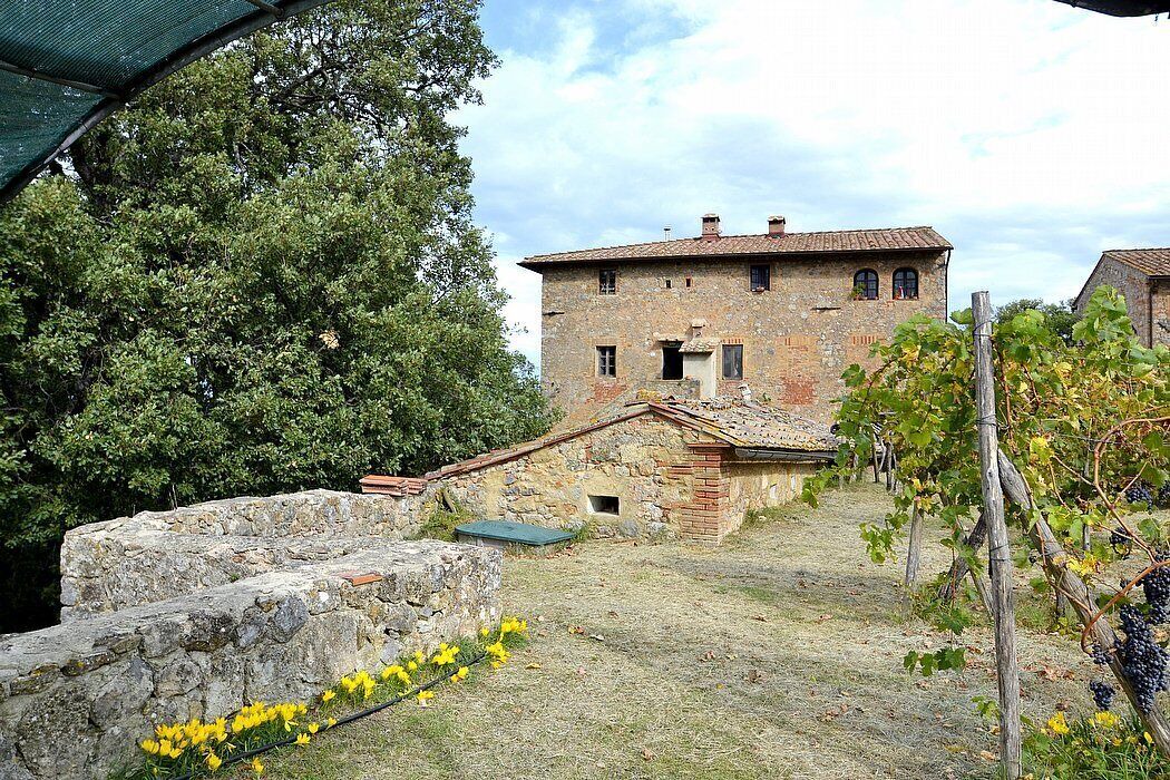 Photo of Outdoor in Monteriggioni