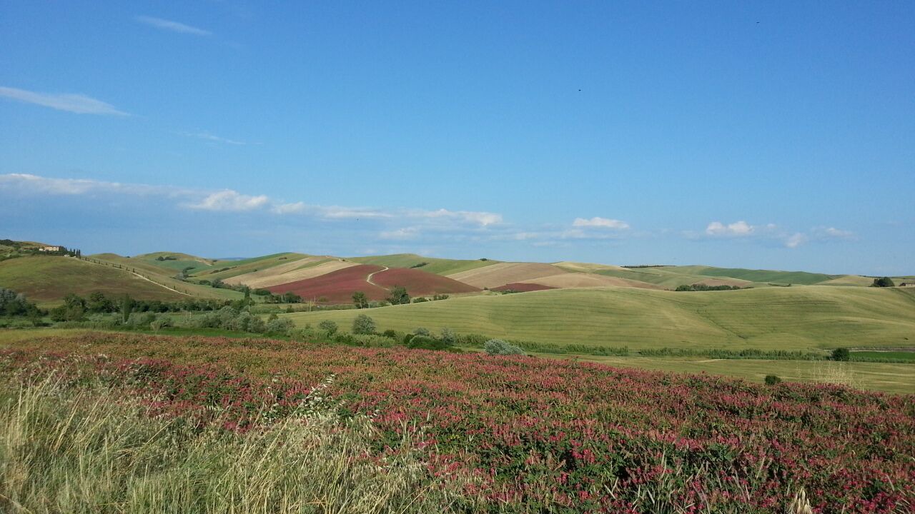 Photo of Outdoor in Chianni