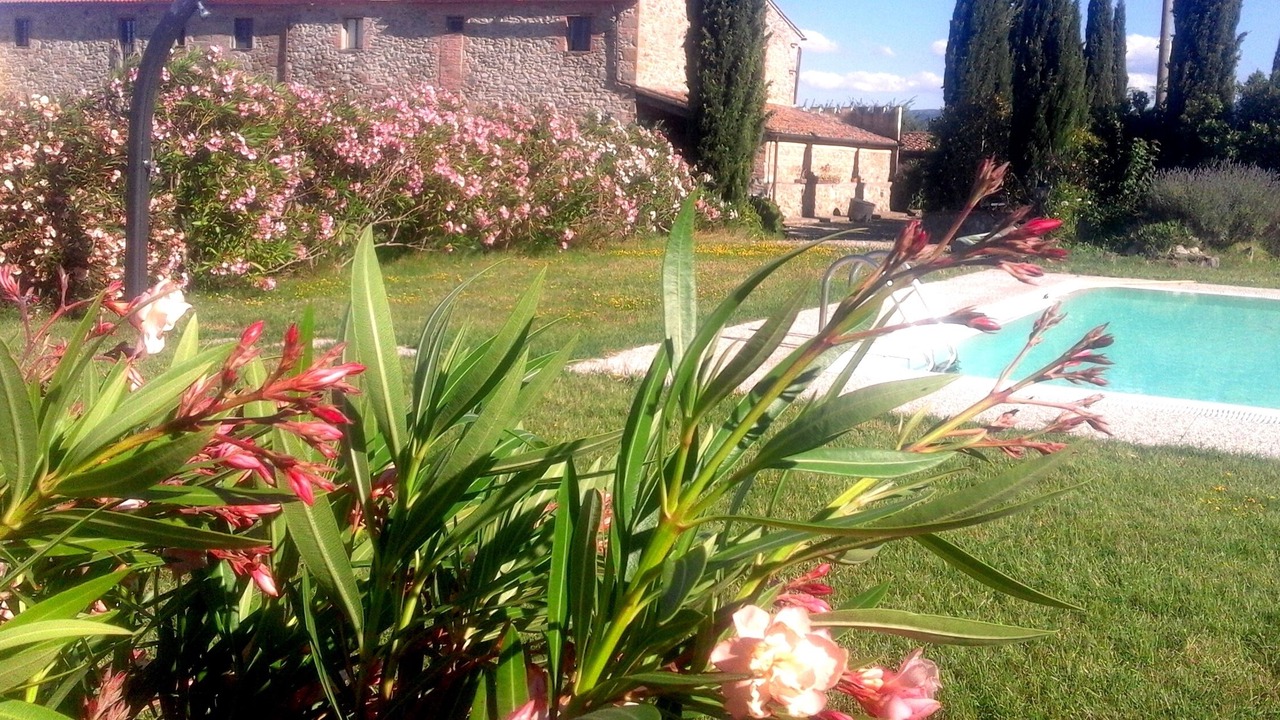 Photo of Outdoor in Chianni
