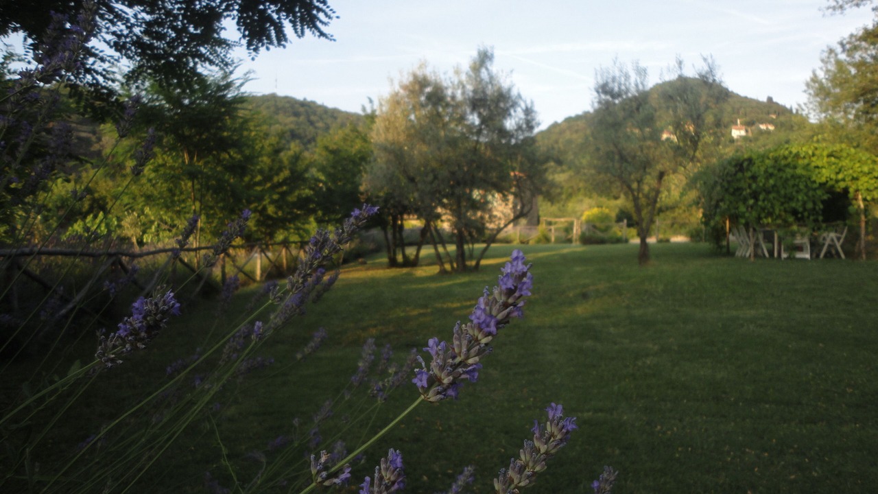 Photo of Outdoor in Poggio Alla Croce