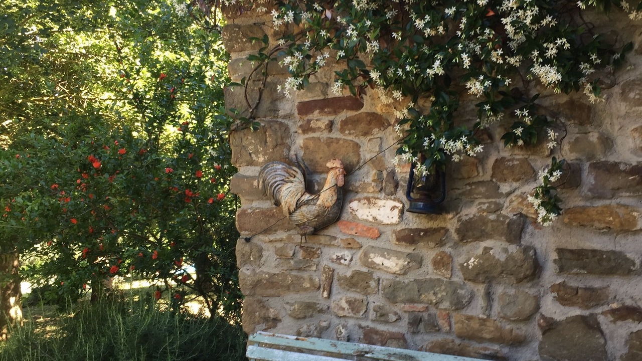 Photo of Outdoor in Poggio Alla Croce