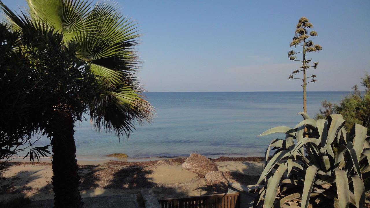 Photo of Others in Preveza