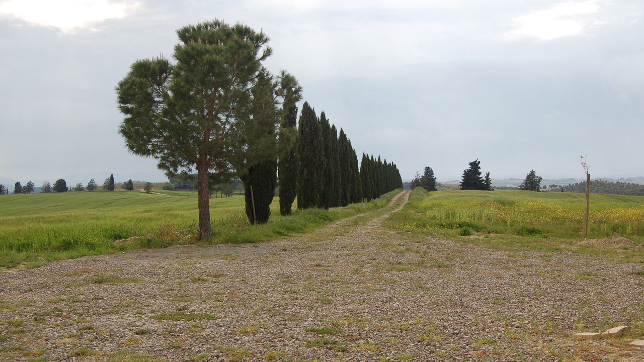 Photo of Others in Camigliano