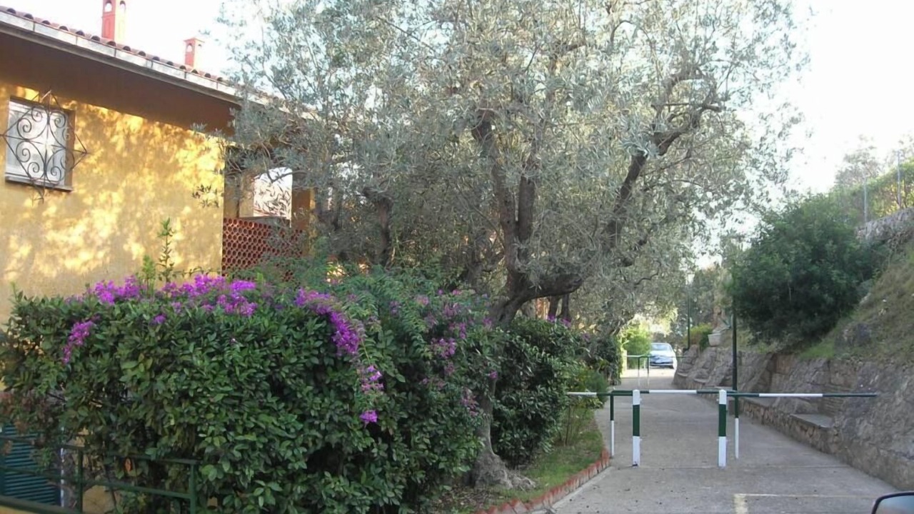 Photo of Outdoor in Porto Santo Stefano