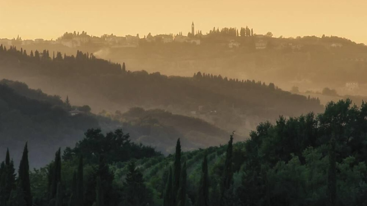 Photo of Others in San Casciano in Val di Pesa
