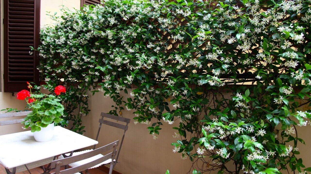 Photo of Outdoor in Duomo