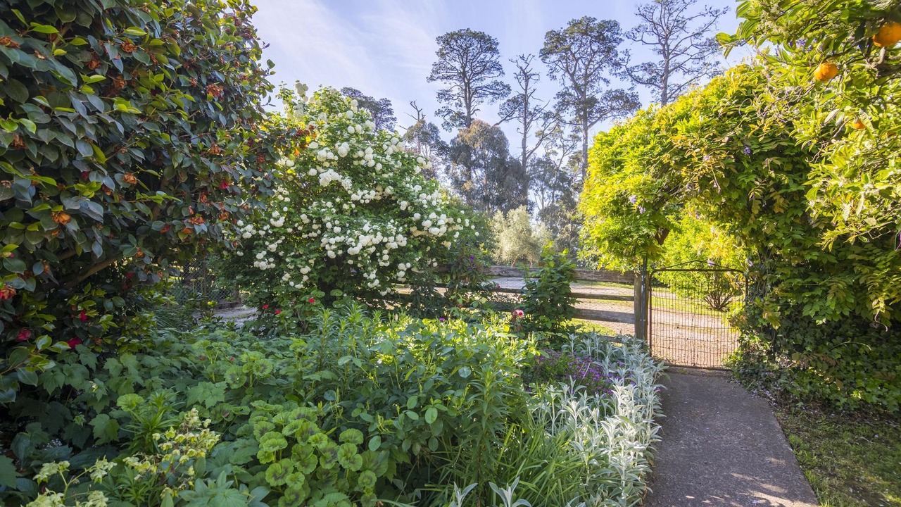 Photo of Outdoor in Wandin North