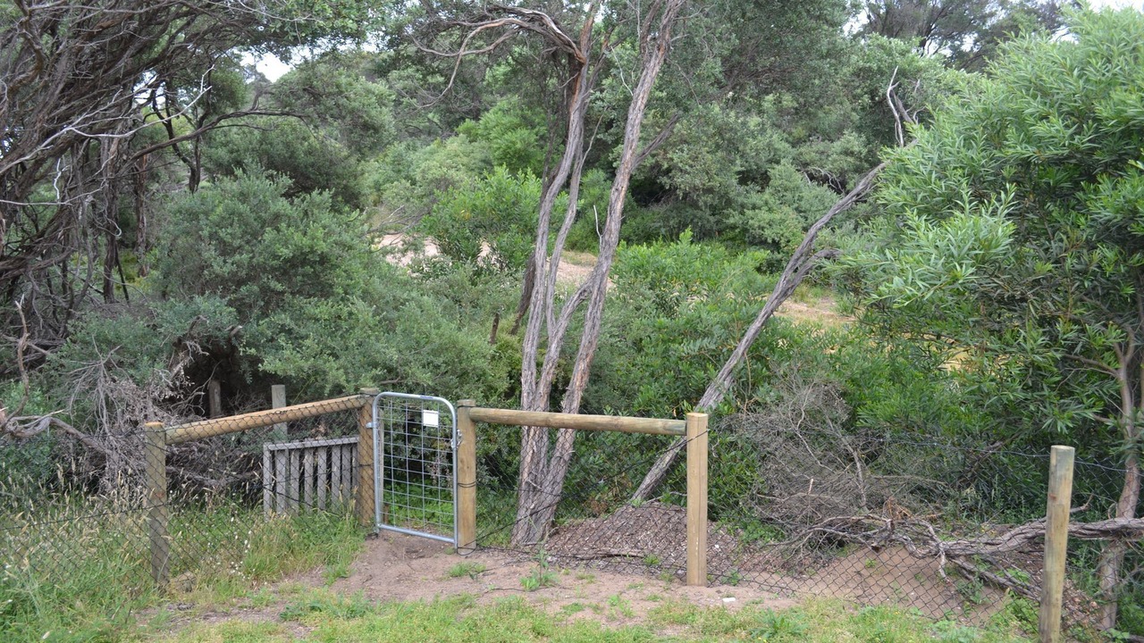 Photo of Outdoor in Venus Bay