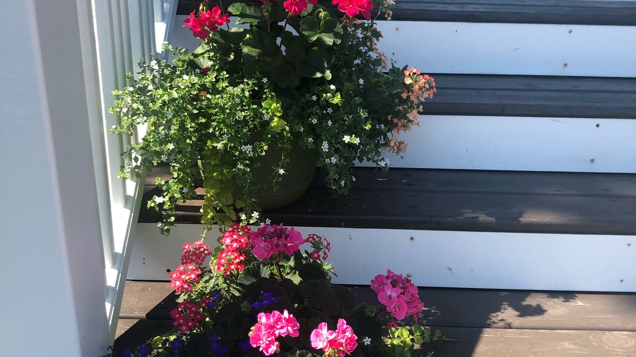 Photo of Outdoor in Grand Haven
