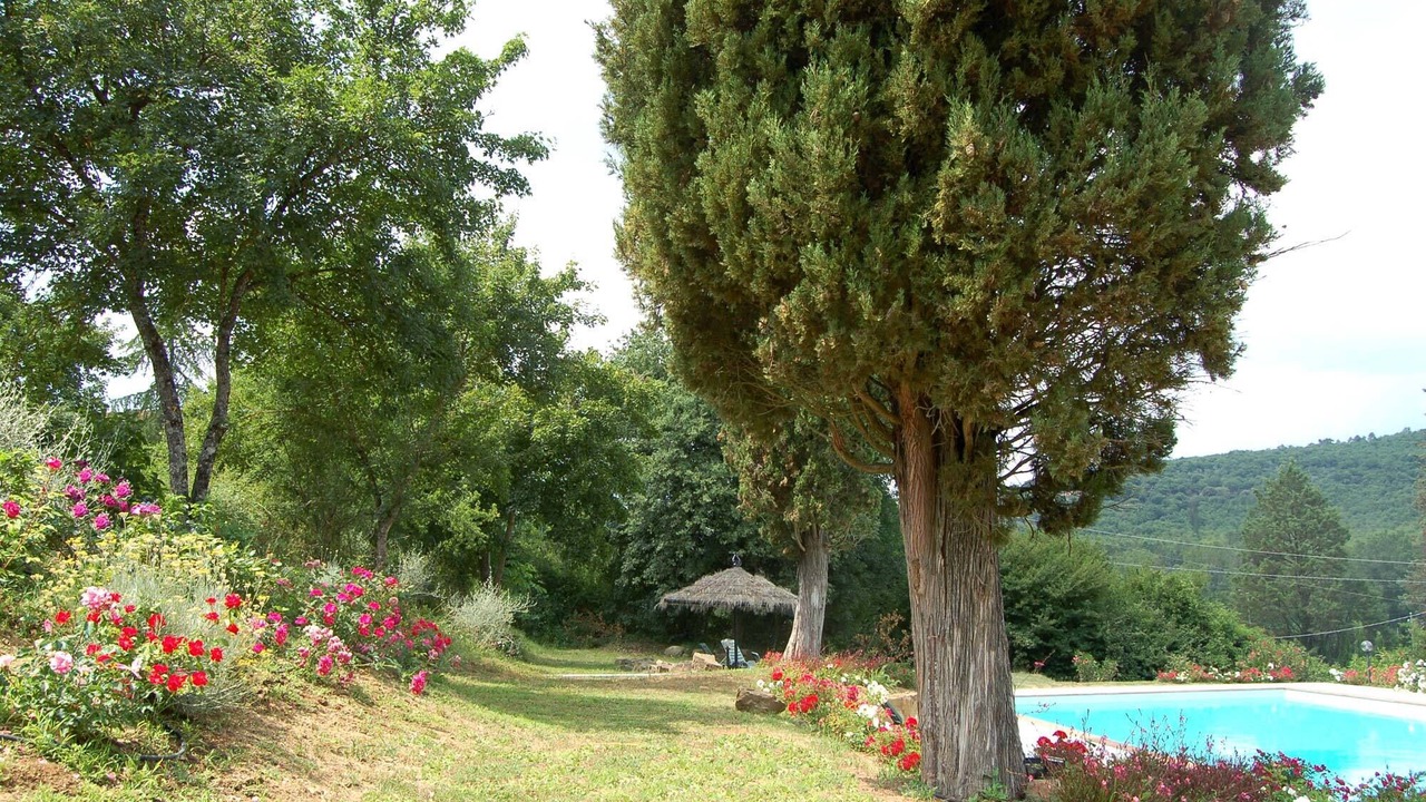 Photo of Outdoor in Bucine