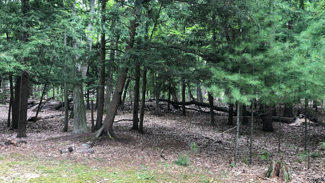 Photo of Outdoor in Empire