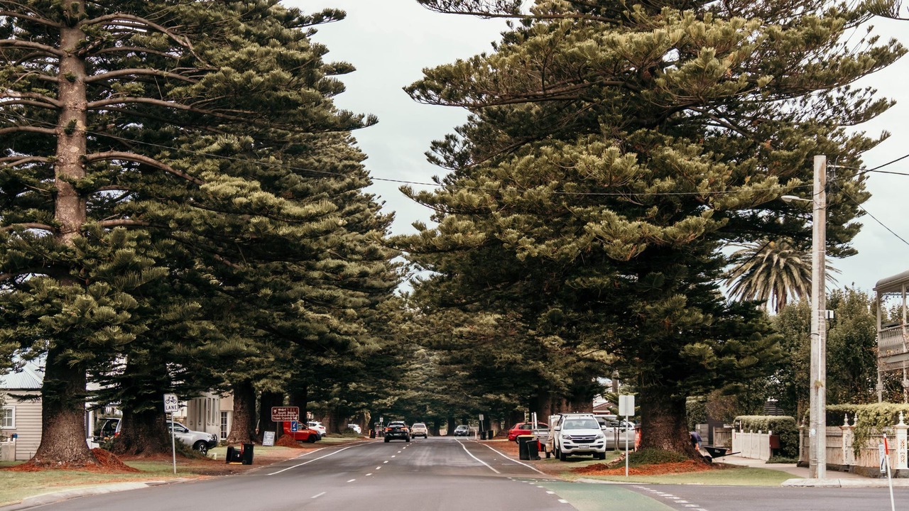 Photo of Others in Port Fairy