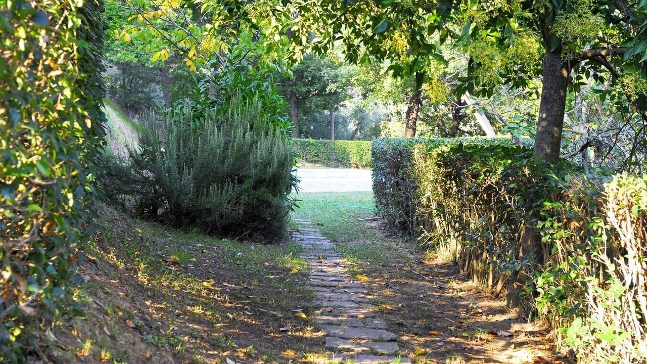 Photo of Outdoor in San Lorenzo