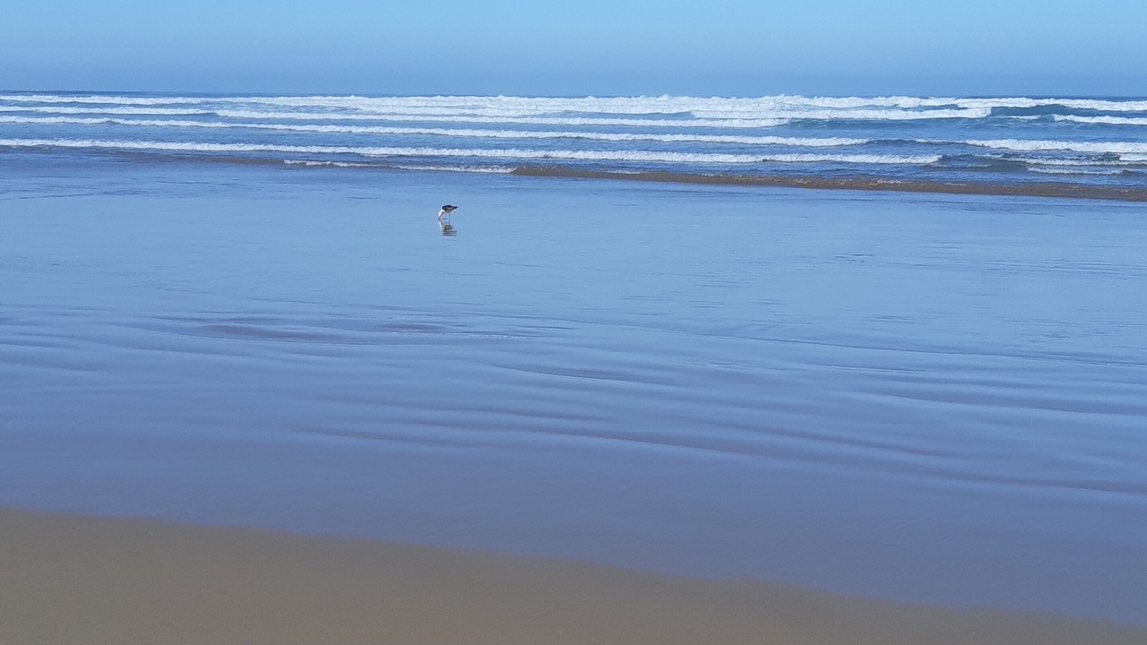 Photo of Others in Venus Bay
