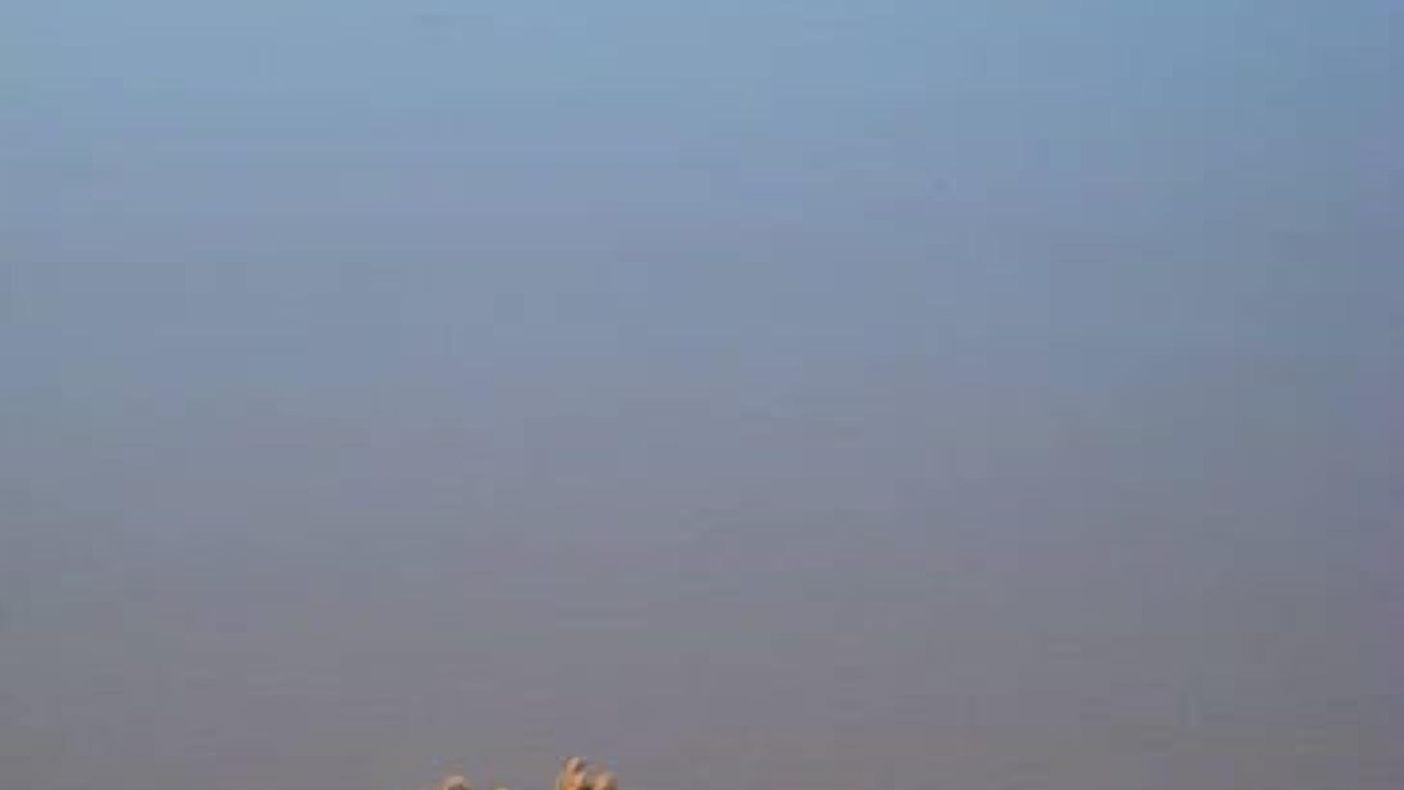 Photo of Others in Venus Bay