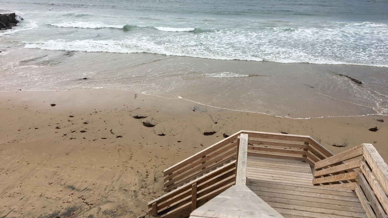 Photo of Others in Cape Paterson
