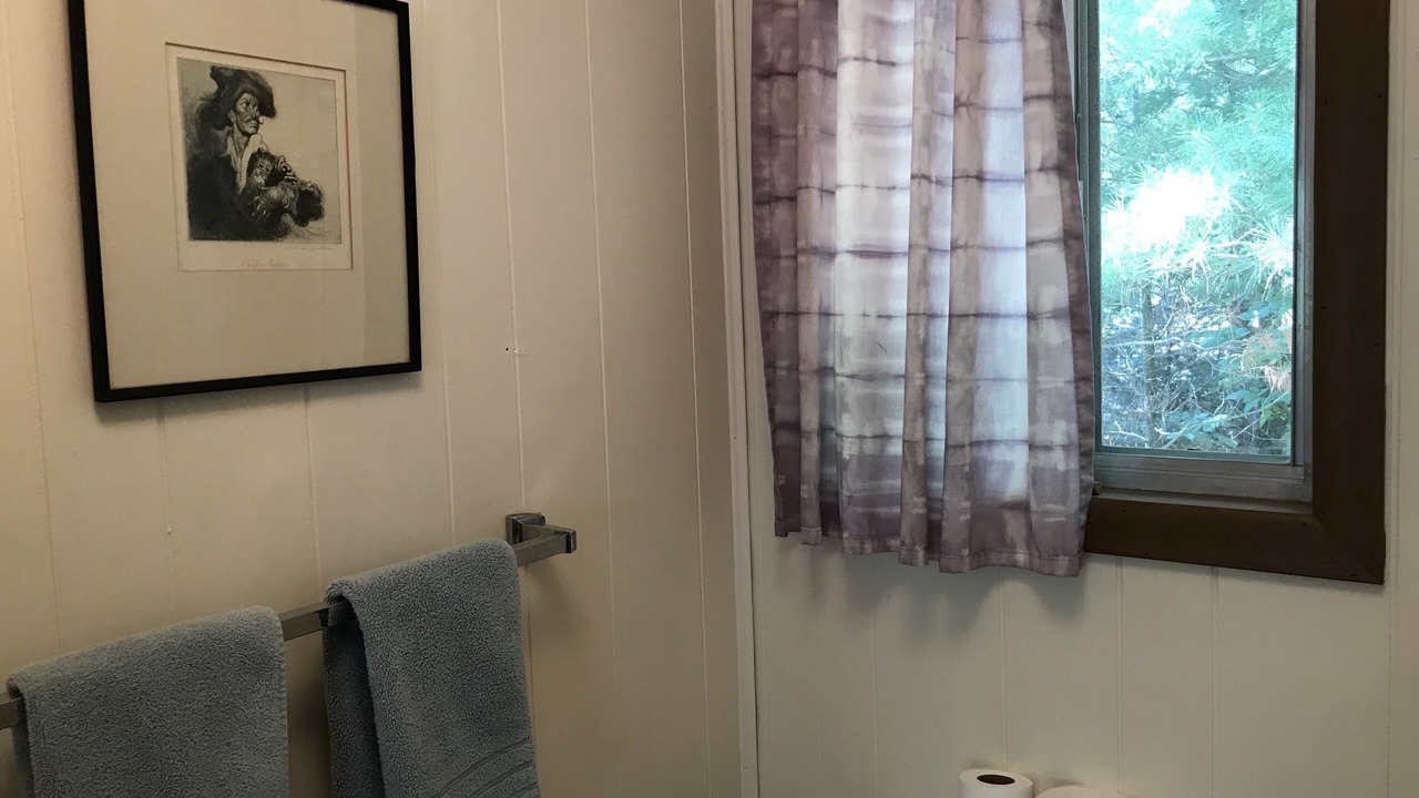 Photo of Bathroom in Greenbush