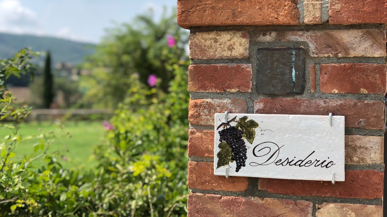 Photo of Outdoor in Paciano