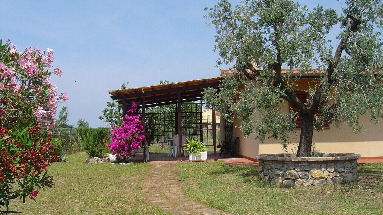 Photo of Outdoor in Donoratico