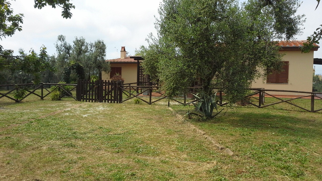 Photo of Outdoor in Donoratico