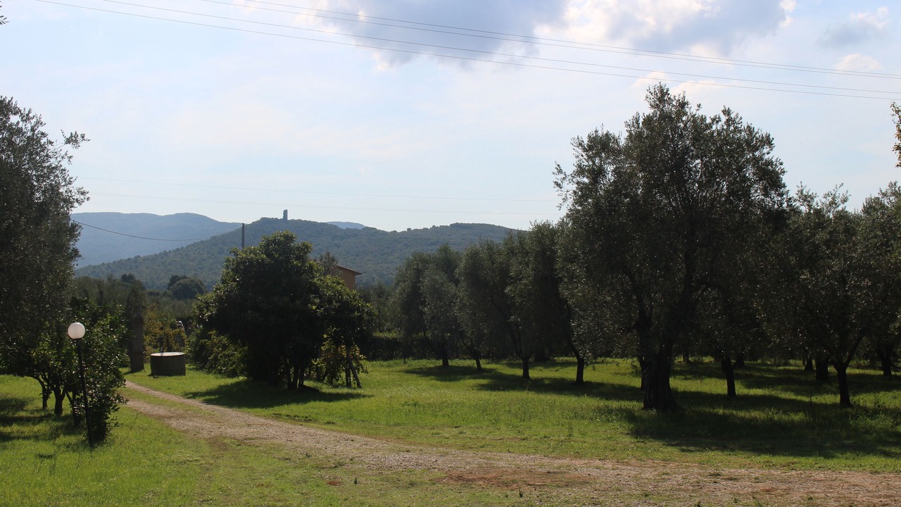 Photo of Outdoor in Donoratico