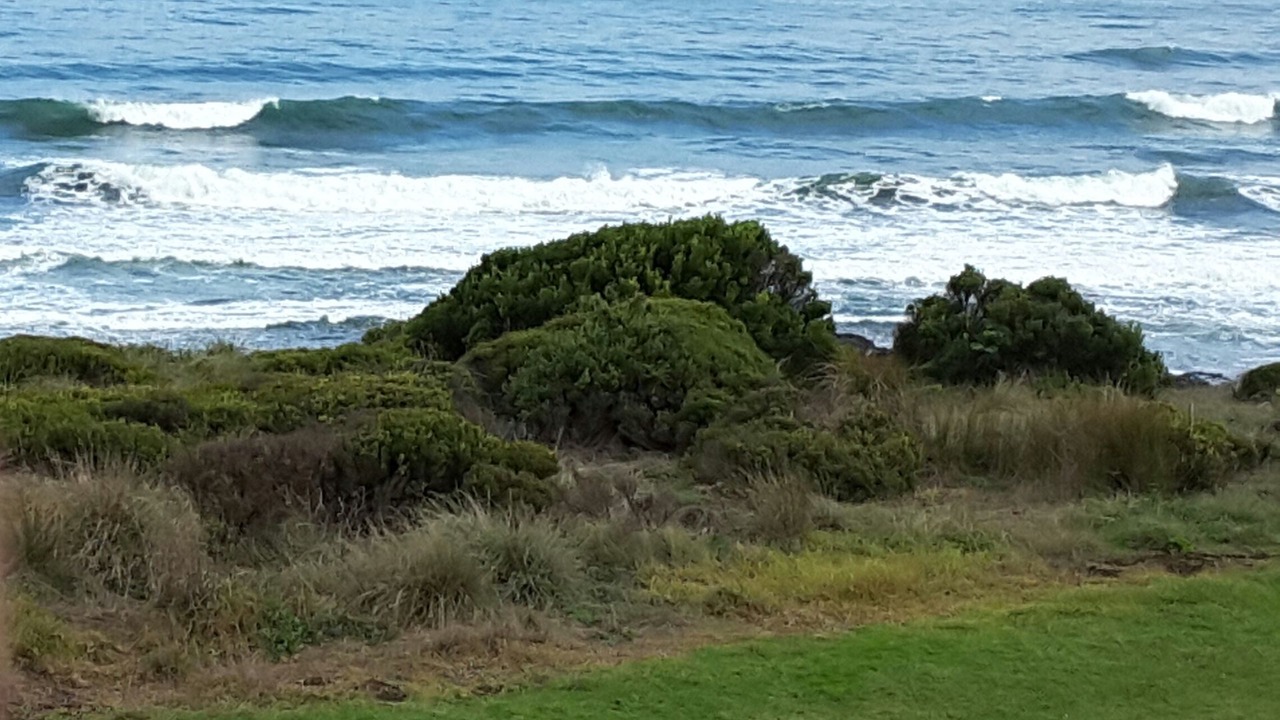 Photo of Others in Sunderland Bay