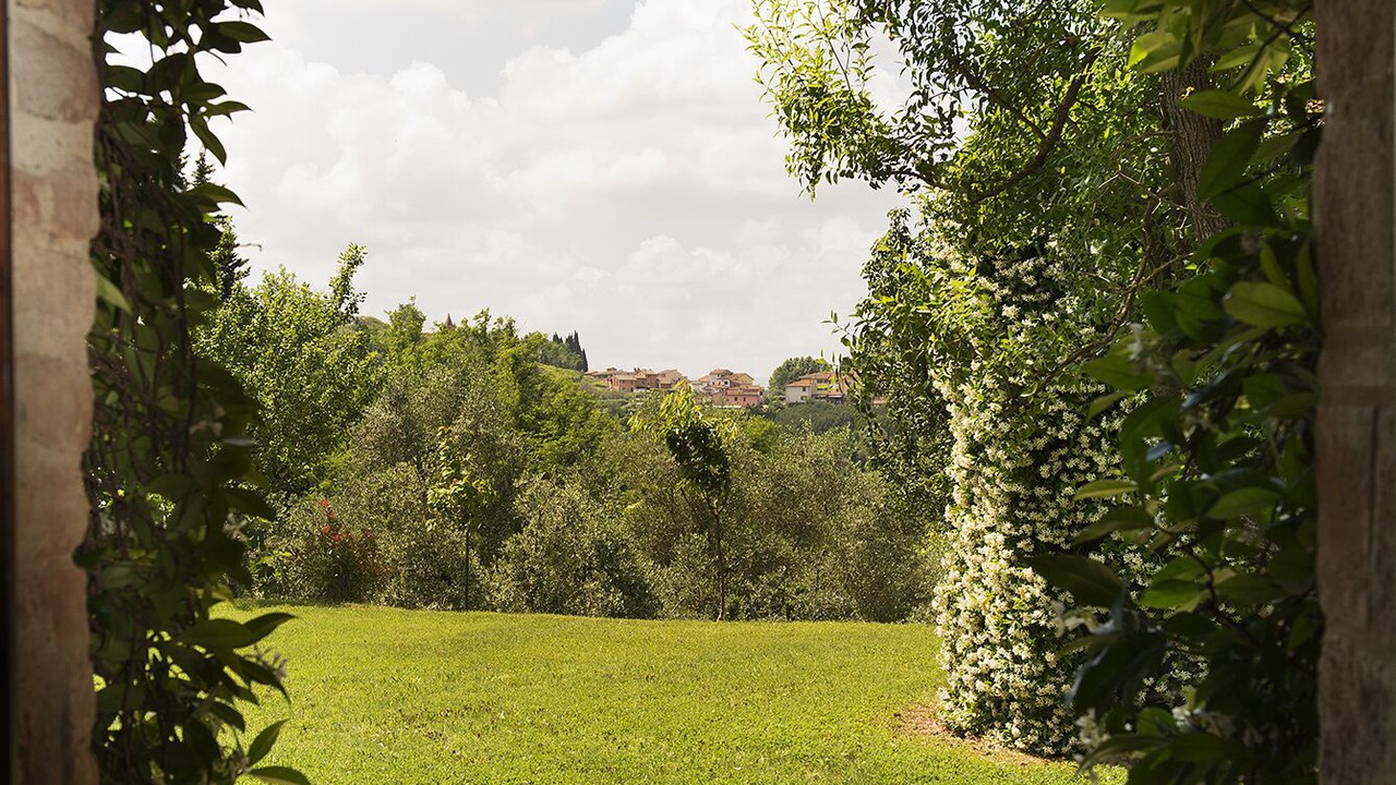 Photo of Outdoor in Marti