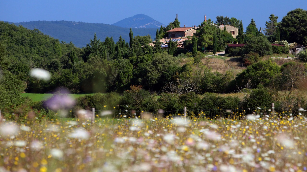 Photo of Outdoor in Torre Alfina