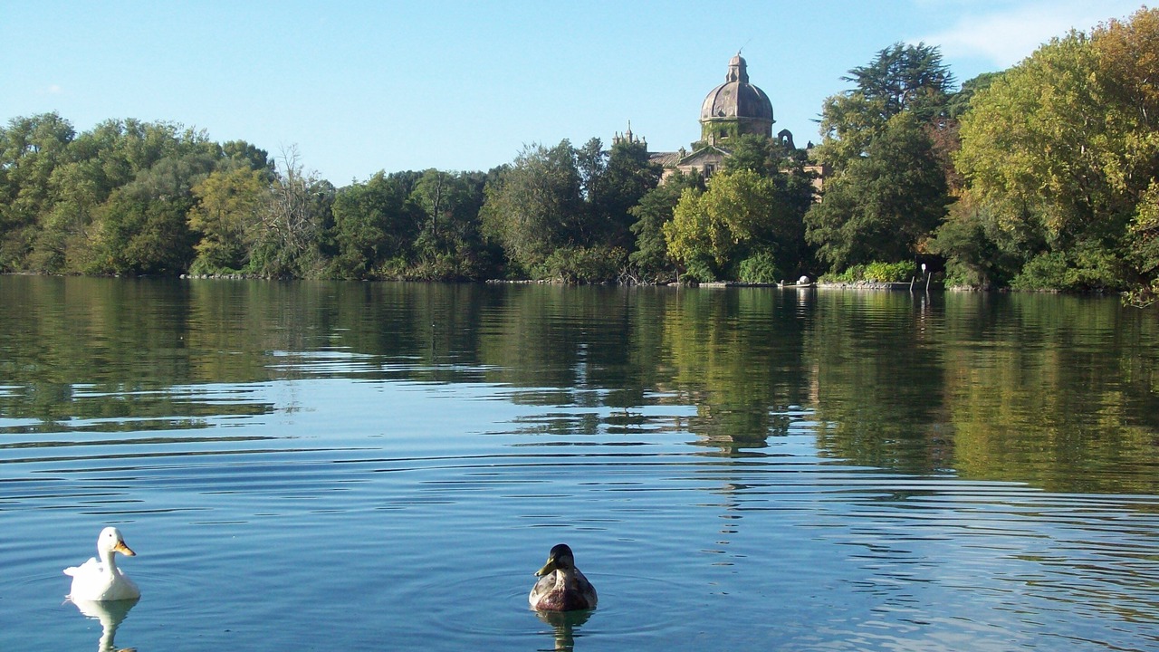 Photo of Outdoor in Torre Alfina