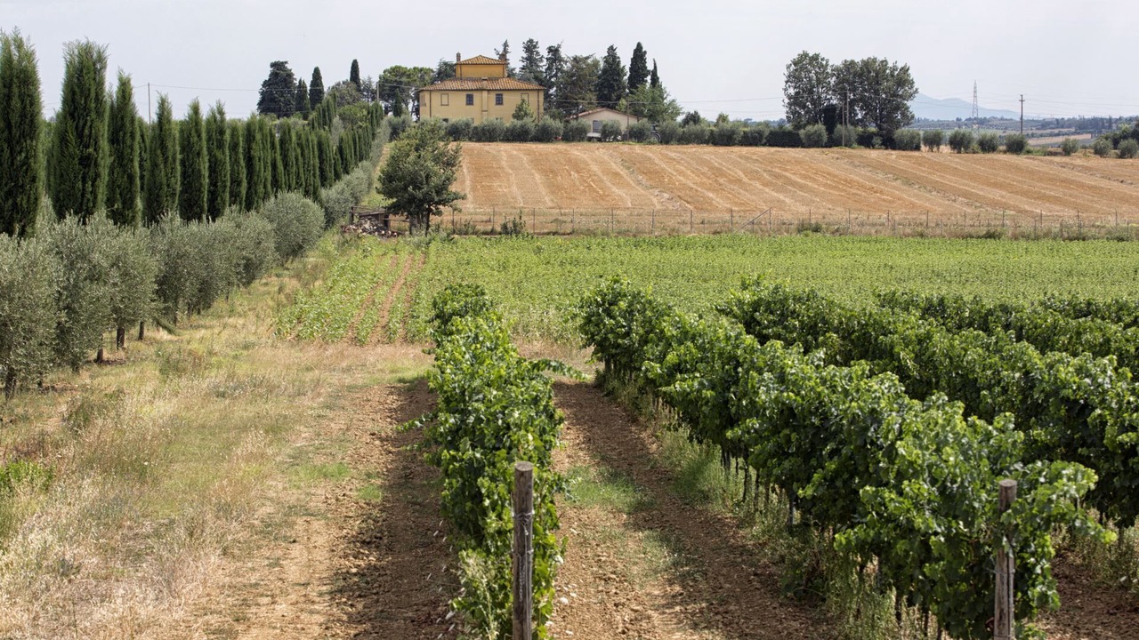 Photo of Outdoor in Cortona