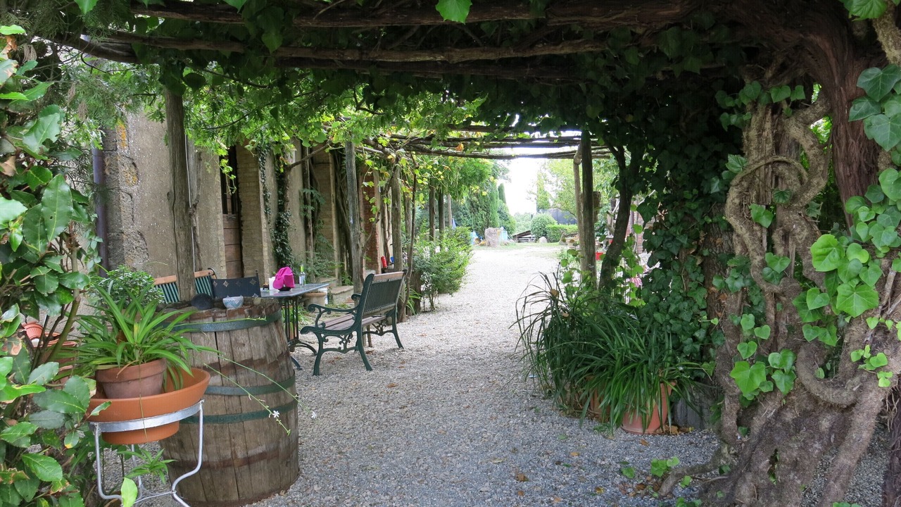 Photo of Outdoor in Torre Alfina