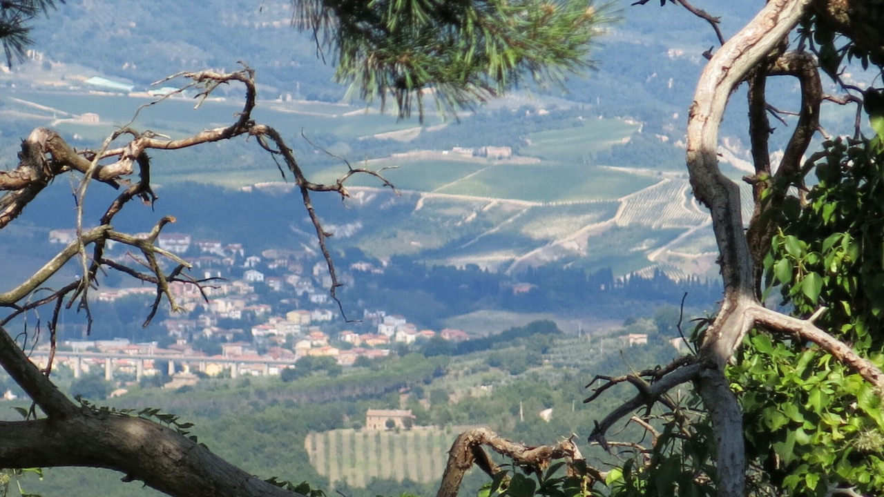 Photo of Outdoor in Torre Alfina