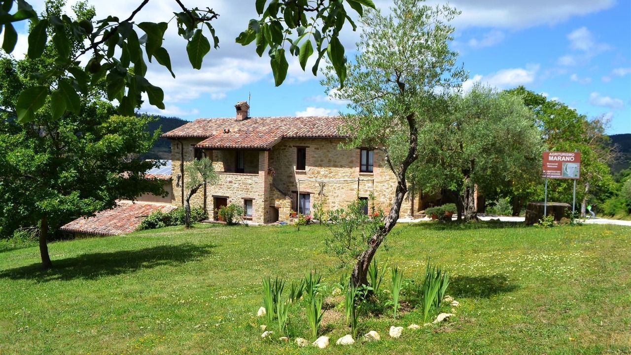 Photo of Outdoor in Monteluiano