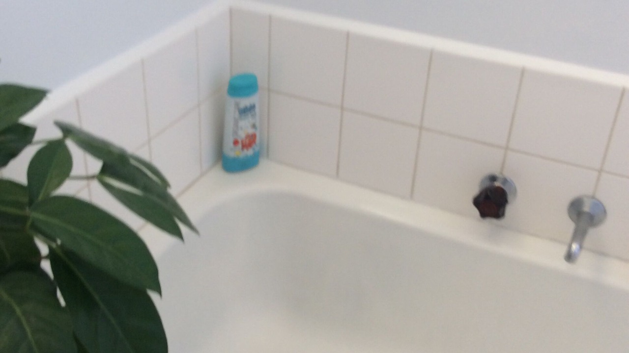 Photo of Bathroom in Crib Point