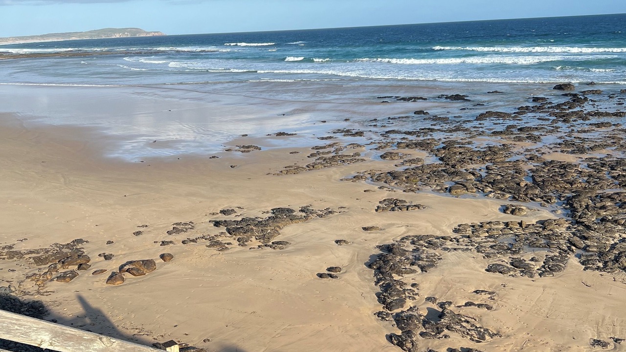 Photo of Others in Surf Beach